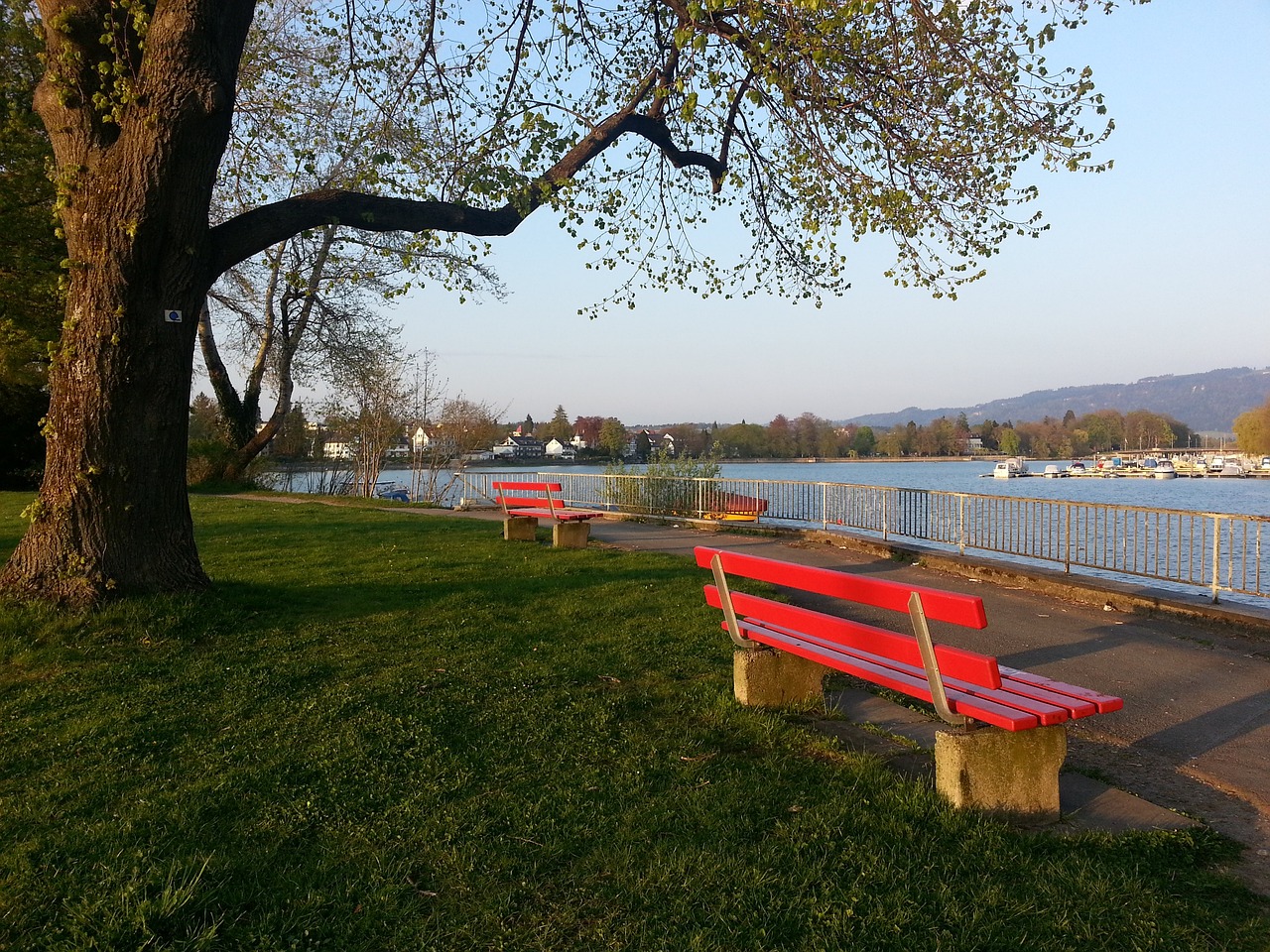 隨著本賽季 隨著本賽季