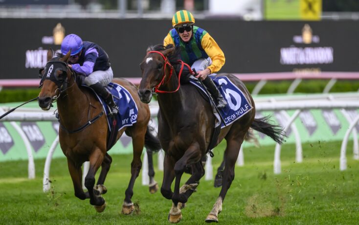 抗将直接影 抗将直接影